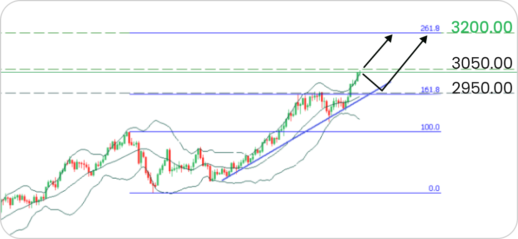 FBS Commodities