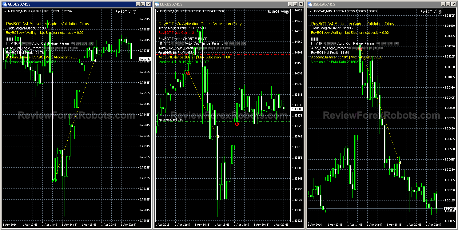 RayBOT Captured The Last Week Prices High Jump