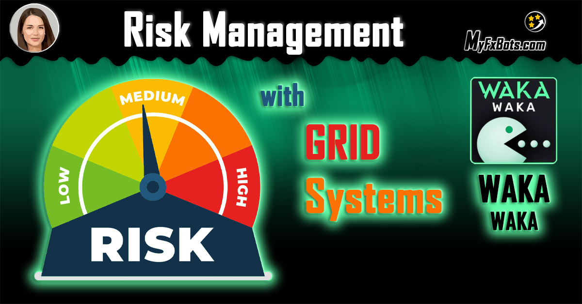 A Deep Vision of Risk Management and Grid Systems