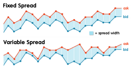 What are the Spread Types in Forex?