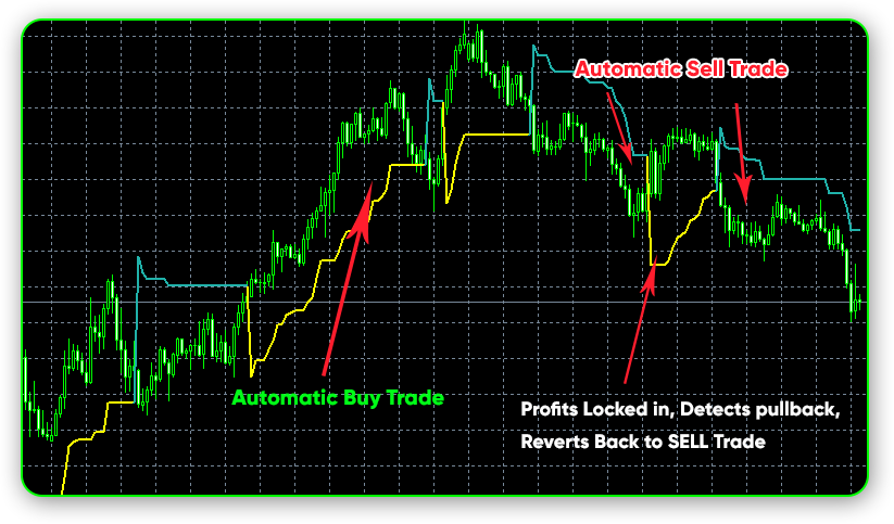 The Skilled Trader reading the chart